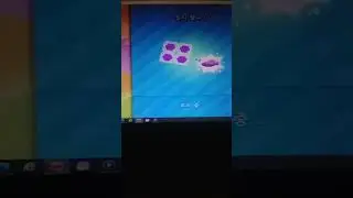 PREM UPDATE LIVE 2026년02월01일 일요일 Candy Crush Saga game(1)🎮Lee sang kyu tv is Live