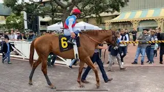 Taiba wins the Grade I RUNHAPPY Malibu Stakes to close out his 3 year old season