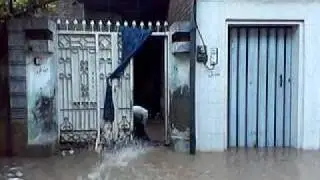 gojra shining