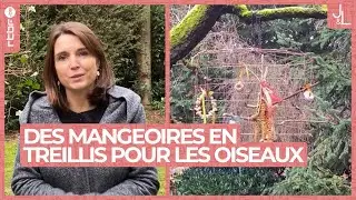 Fabriquez des mangeoires en treillis pour nourrir les oiseaux | DIY Jardins et Loisirs