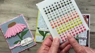 Coneflower Celebration cards