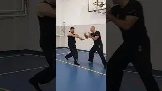 Kenjutsu - revers grip #ninjutsu #bujinkan #selfdefense #martialarts #ninja #shadowwarrior