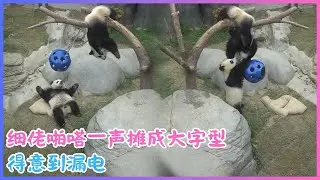10月23日💖细佬啪嗒一声摊成大字型，得意到漏电💖