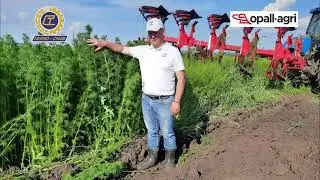 Плуг навесной OPaLL AGRI JUPITER 140