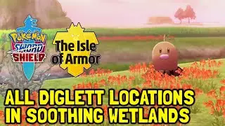 Pokemon Sword & Shield The Isle Of Armor DLC All Diglitt Locations In Soothing Wtlands