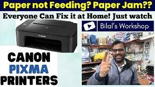 Paper Feeding Issue or Paper Jam in Canon Pixma TS series Printer