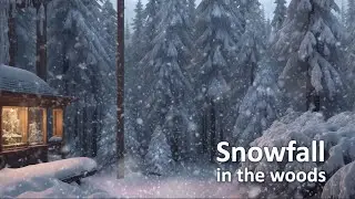 Snowfall Serenity: Discovering Snowstorm Ambience and  Tranquility in the Snowy Woods 2024