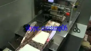 Automatic pillow sponge horizontal packing machine