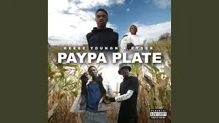 Paypa Plate