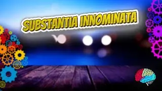 SUBSTANTIA INNOMINATA - Know It ALL 🔊✅