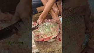 Amazing! Attractive Best&nbsp;Big Tilapia Fish Cutting Skills 😱 #shorts