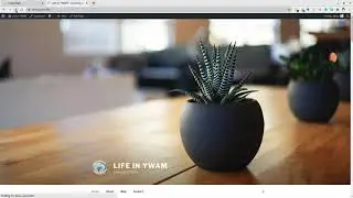 Manage WordPress Themes