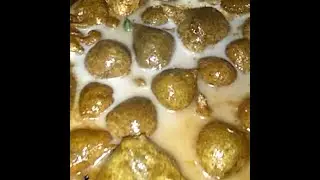 pachaipayiru paal paniyaram&brvbar;#Shorts#Pachaipayiru#paniyaram#greengram#coconutmilk#Dumplings
