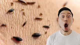 Korean Body Scrub Mens King Spa Virginia #koreanspa #bodyscrub #virginiaspa