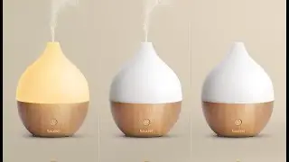 Best Small Essential Oil Diffuser Under $30 (Actually Quiet!) - Best Budget Goods