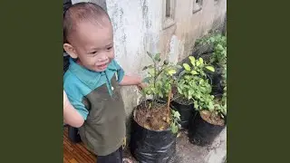 Usaha Dengan Niat