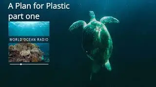World Ocean Radio: A Plan for Plastic, part one