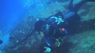 SCUBA DIVE HAWAII  by Hawaii Eco Divers