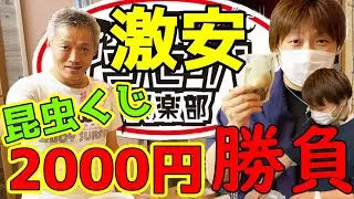 【半額！】になった昆虫くじを引いてみた結果…店長がおかしくなってしまった…　クワガタムシ　カブトムシ　オオクワガタ