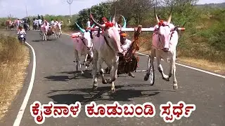 Kudubandi Bullocks race at Kaitnal | Front shot