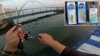 Test Lure REBEL Minnow Ultralight Lure, Langsung Gacor