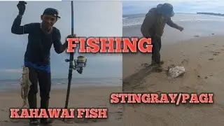 Fishing mona uli tayo Kahawai fish and Stingray (pagi)