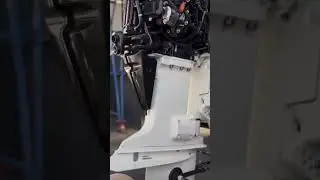 This Evinrude E-TEC 200 SCREAMS to Life!🔥 Cold Start Never Sounded So Savage!