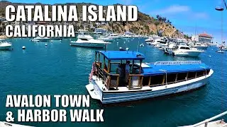 🏝 CATALINA ISLAND, CALIF  : AVALON TOWN & HARBOR WALK