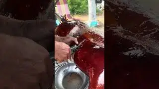 Roasted pig