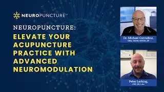 Neuropuncture: Elevate Your Acupuncture Practice with Advanced Neuromodulation