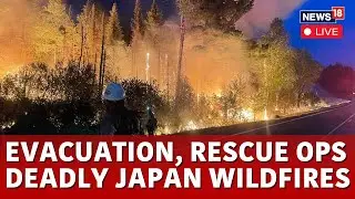 Japan Wildfires LIVE | Rescue Operations Underway As Western Japan Wildfires Continue | N18G
