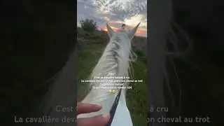 Frayeur premi&egrave;re balade &agrave; cru #camargue #cheval #chevalpassion #promenade #equitation