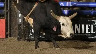 Meat Hook scores a bull score of 45 points against Shane Proctor (PBR)