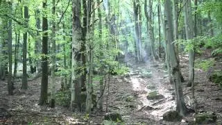 Il parco del Marguareis in Valle Pesio