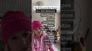 Мои 9 любимых угощений для птиц от специалиста по поведению птиц