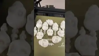 💀💀💀 The learning curve of 3D printing is 👌 