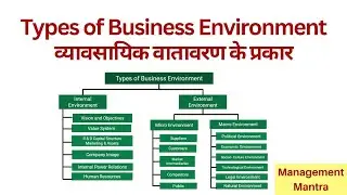 Types of Business Environment