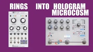 Mutable Instruments Rings into Hologram Microcosm