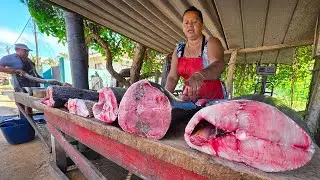 Amazing! Rare Island Of Village Fish Market Stories Generations Of Fisherman Culture