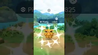 Shiny Pineco Pokemon GO