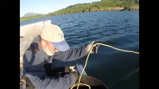 Salmon Fishing in Kodiak 2016