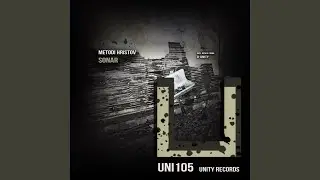 Sonar (D-Unity Remix)