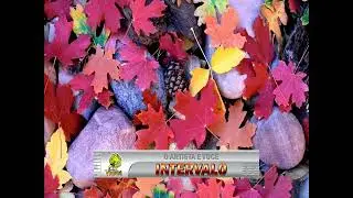 04563 - THE BEATLES   -  AND I LOVE HER - ==Karaoke&ndash;Videoke &ndash; Playback