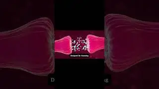 HOW SYNTHETIC  DRUGS AFFECTS YOU