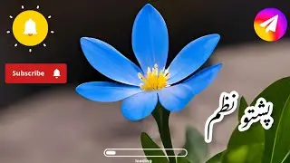 New Pashto Nazm 2025 || Heart Touching Pashto Nazm by...
