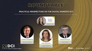 Practical Perspectives on the Digital Markets Act