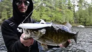 Swimbait Canada: The Beauchene Experience 2019