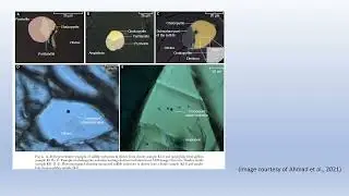 Why Porphyries Lose Their Gold- Deep Crustal Sulfide Filters in the Chilas Complex- Ep16
