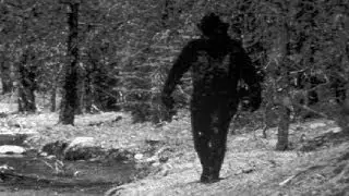 Bigfoot Screams(longest audio in the world)