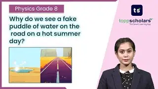 Why do we see a fake puddle of water on the road on a hot summer day| Total Internal Reflection|